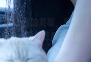 带上我的灵魂，穿越91icg的传送门，见证吃瓜新风潮！