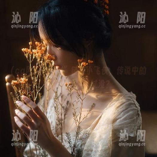 “cg网”链接小飞侠，传说中的吃瓜神器你试过没？