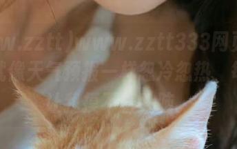 www.zztt333网页里的故事就像天气预报一样忽冷忽热，每次都让我摸不着头脑。
