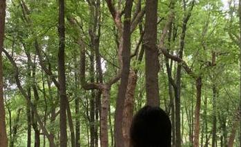 吃瓜5191传送门开了，黑料像是大礼包一样！