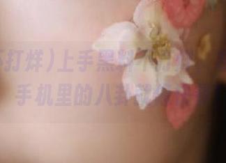 上手黑料不打烊，导航给力，手机里的八卦就像快餐！