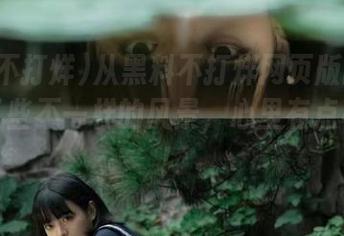 从黑料不打烊网页版的首页看到了些不一样的风景，心里有点小激动！