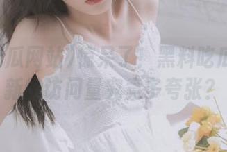 惊呆了！黑料吃瓜网站更新的访问量究竟多夸张？