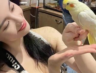 黑料不打烊？“黑料正能量”网站真把八卦当事业！