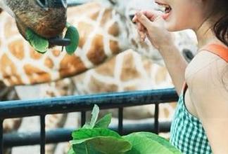 何必上线？观看黑料网，在线也是一种生活态度……