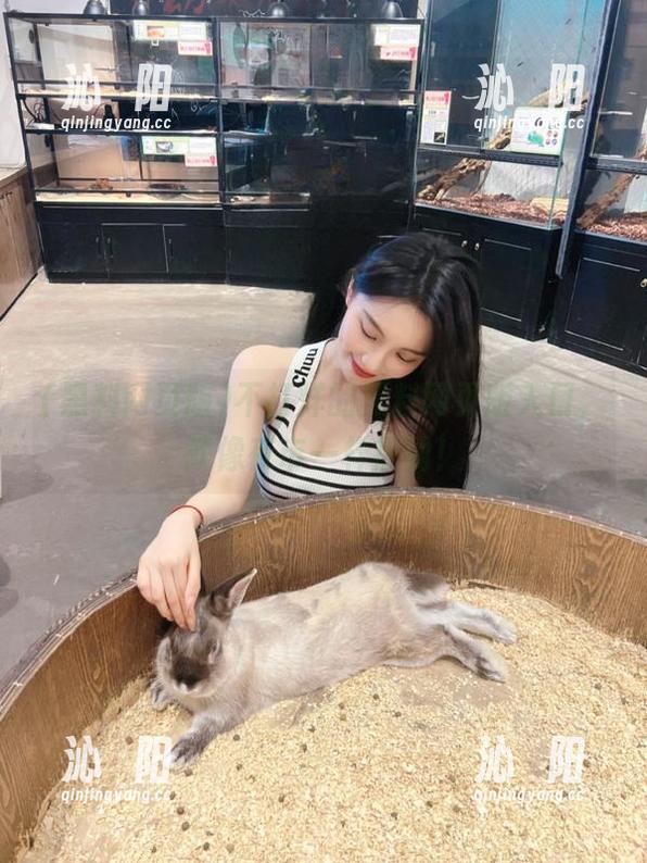 不打烊的黑料网页版入口，就像夜市一样热闹！